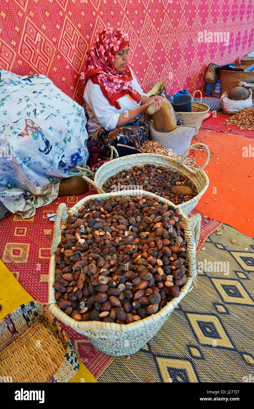 Women cracking Argan nuts at the Cooperative Marjana, Ounara, Essouira, Morocco Stock Photo