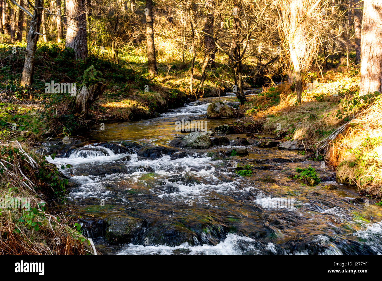 River flowing in nature park in Cercedilla, Madrid, Spain Stock Photo
