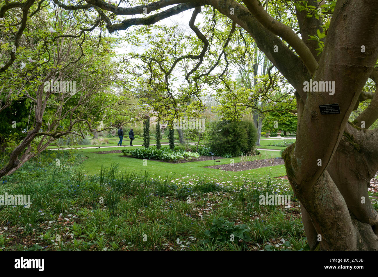 Botanic Garden, Oxford Universtity, Oxford, United Kingdom Stock Photo