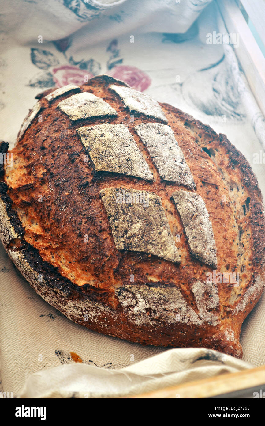 An artisanal bread in a rustic traditional bakery. A buttermilk and pumpkin seed loaf. Stock Photo