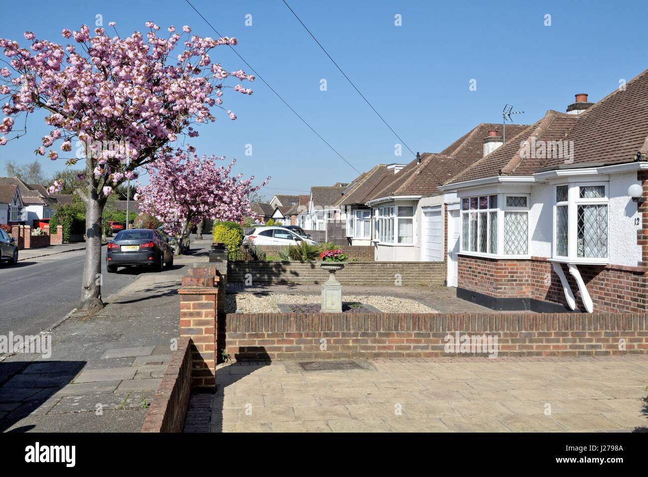 Bungalows in Shepperton Surrey UK Stock Photo Alamy