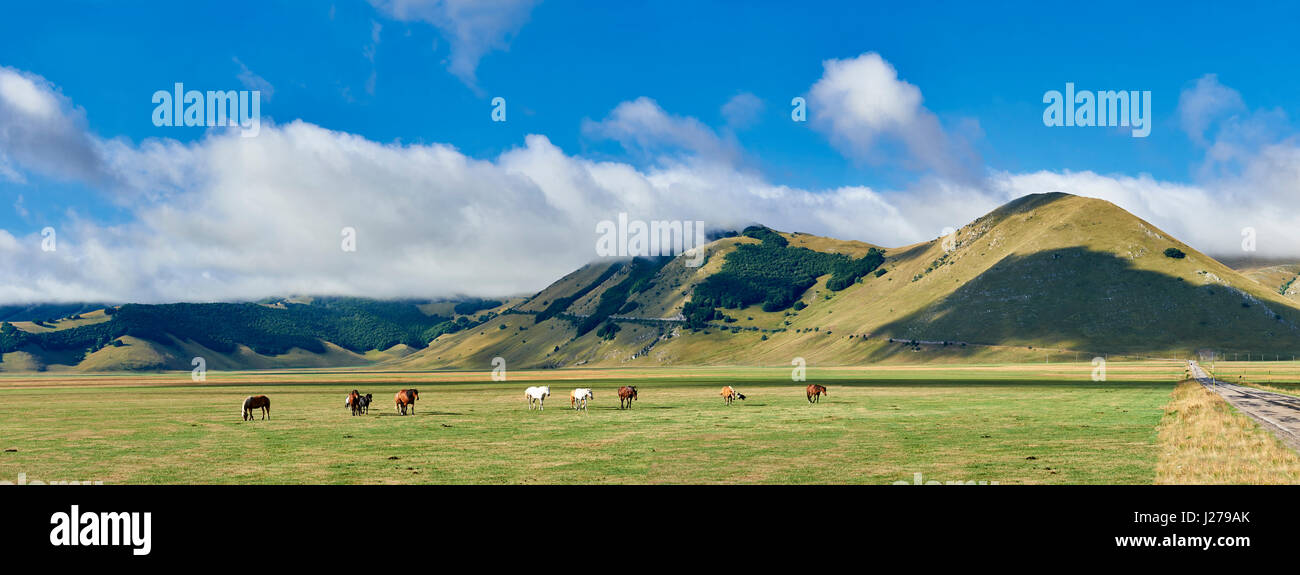 Piano Grande, Great Plain, of Castelluccio di Norcia, Parco Nazionale dei Monti Sibillini , Apennine Mountains,  Umbria, Italy. Stock Photo