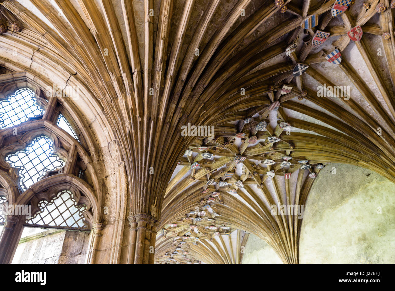 The Cloisters, Canterbury Cathedral Stock Photo - Alamy