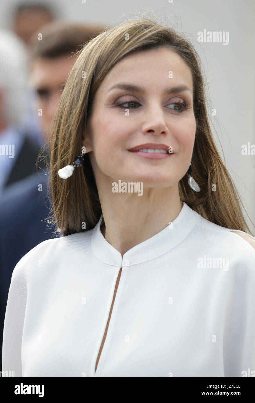 Tenerife, Spain. 25th Apr, 2017. Queen Letizia of Spain during the visit to the University Institute of Tropical Diseases and Canarias Public Health in La Laguna, Tenerife on Tuesday, April 25, 2017 Credit: Gtres Información más Comuniación on line,S.L./Alamy Live News Stock Photo