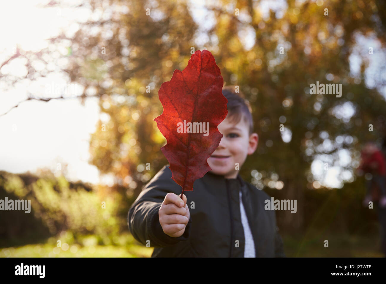 Boy Playing With Autumn Leaf in Garden Stock Photo - Alamy