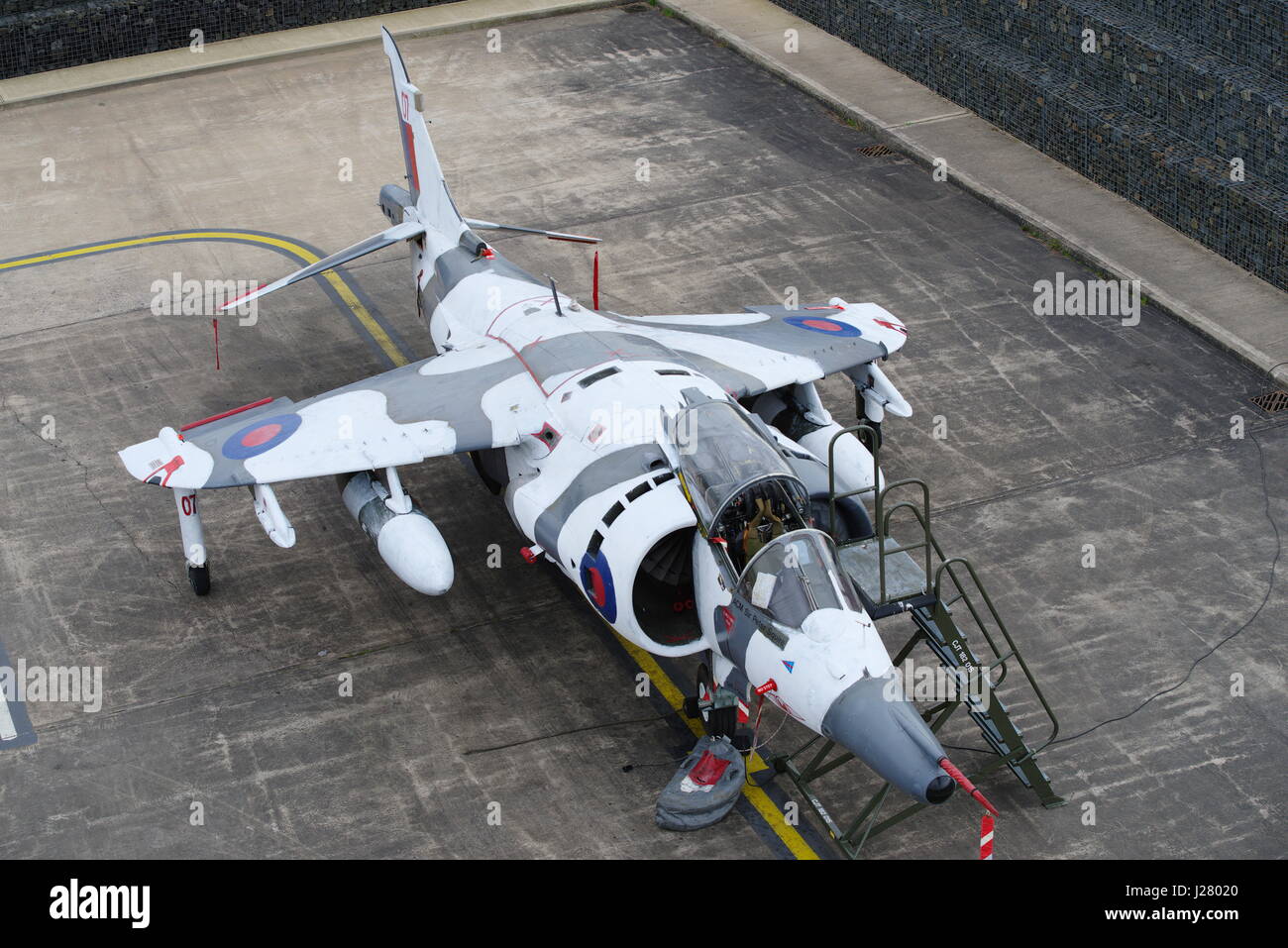 Harrier Stock Photo Alamy