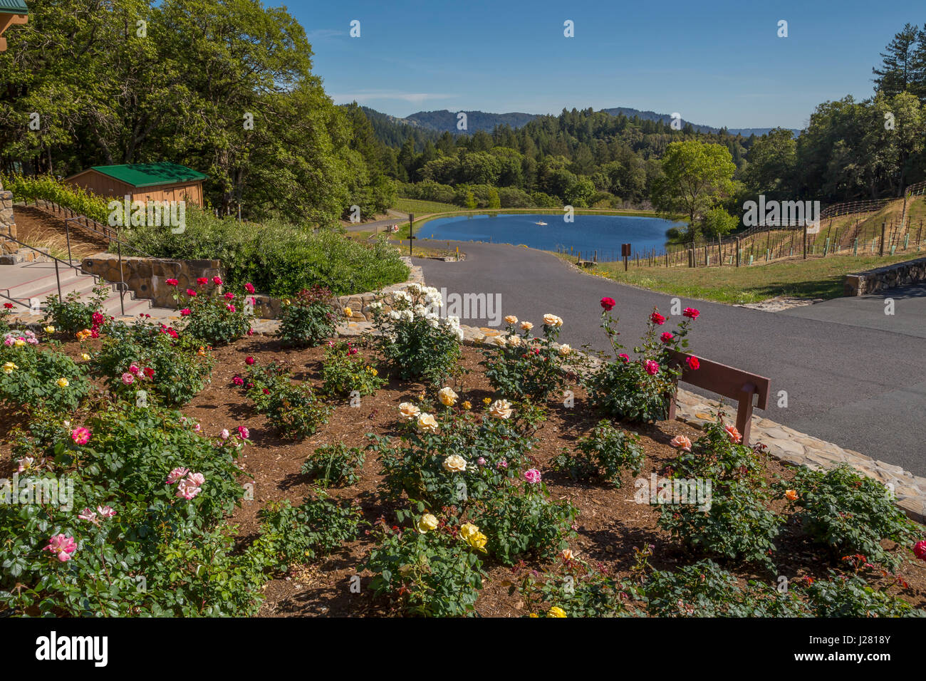 Botanical garden botanic garden garden horticulture plants travel