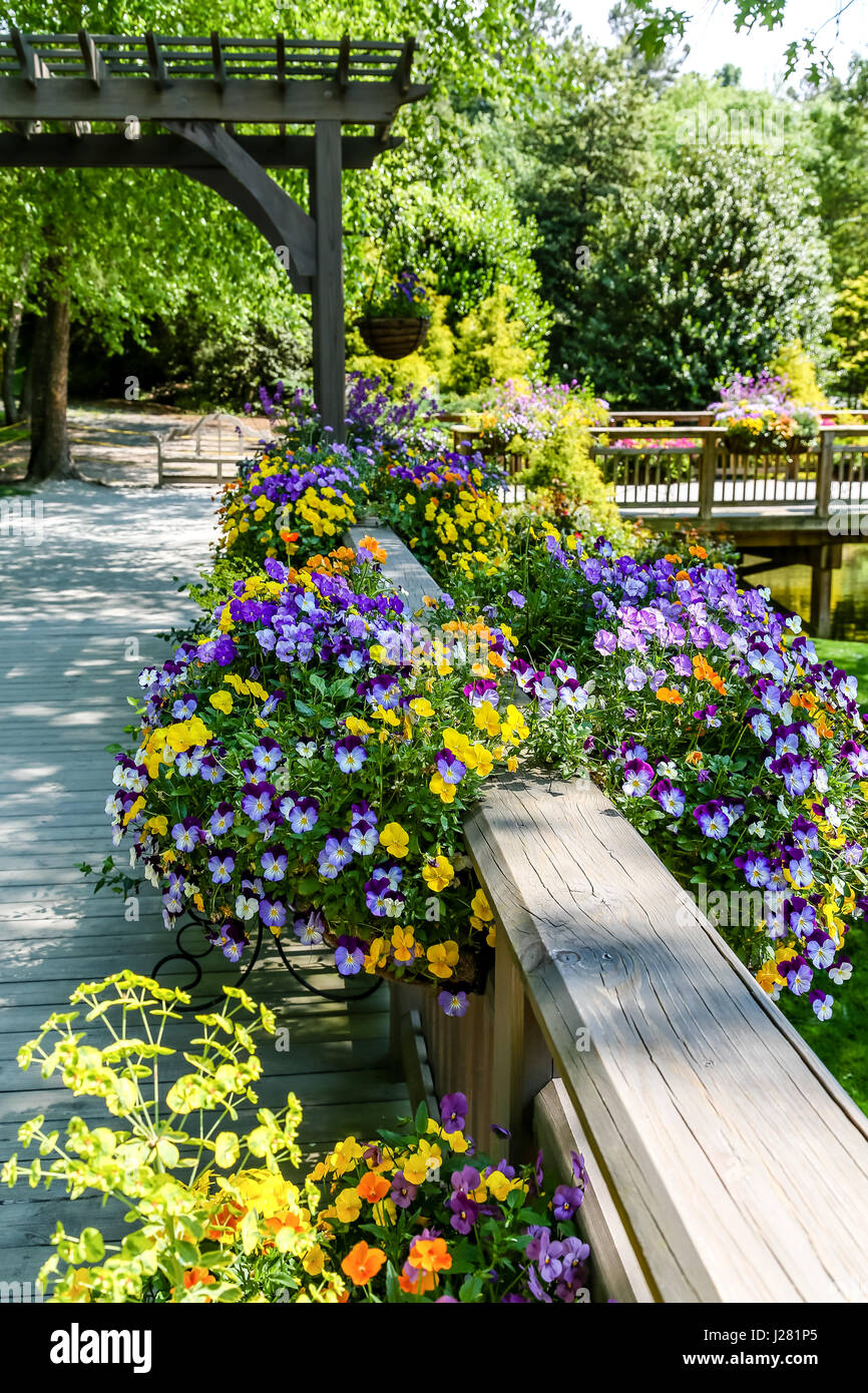 Wood deck and railing hi-res stock photography and images - Alamy