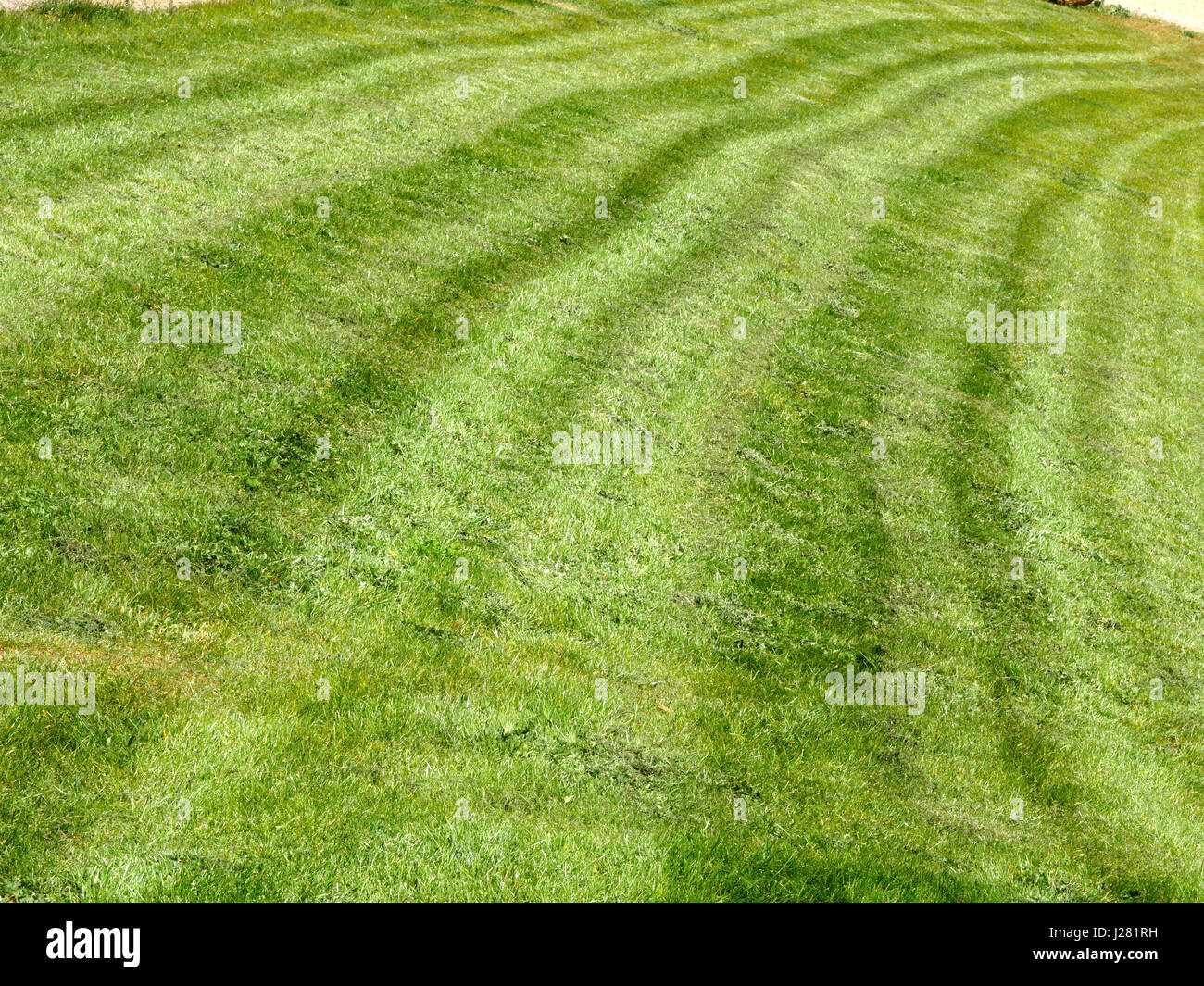 England pattern hi-res stock photography and images - Alamy