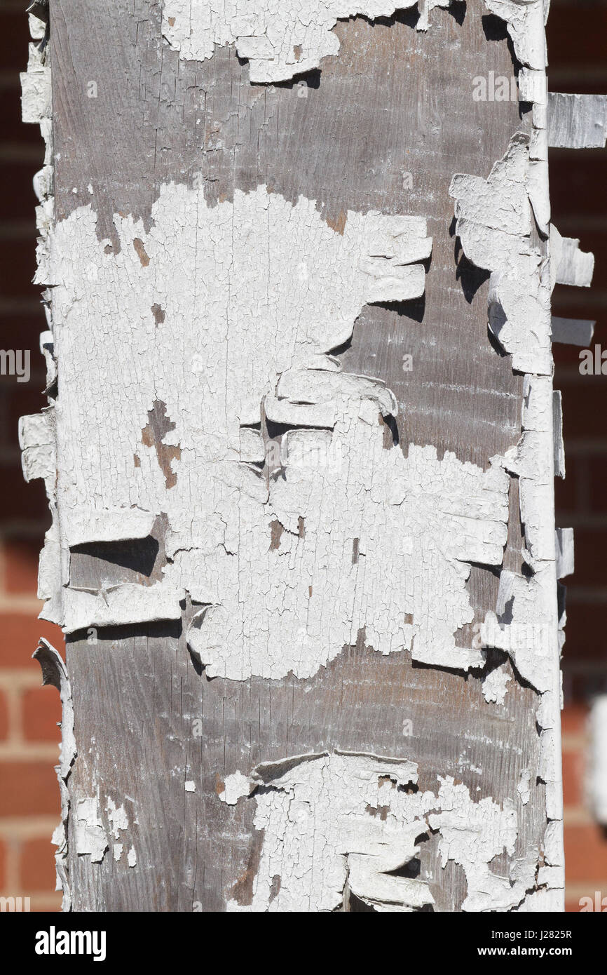 White paint chipping from an old style house Stock Photo Alamy