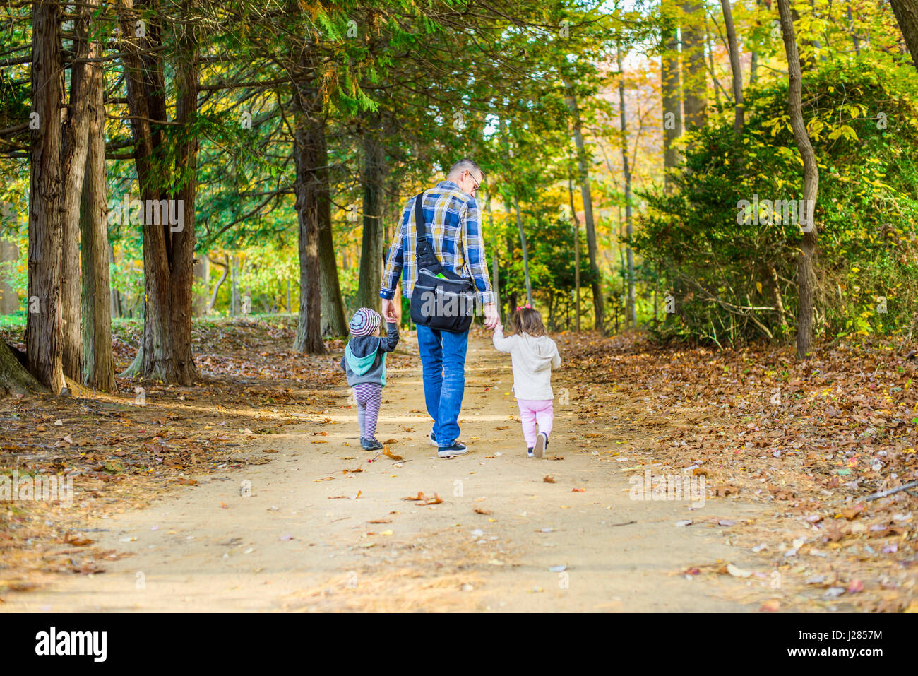 Rear view of father with daughters walking in forest Stock Photo - Alamy