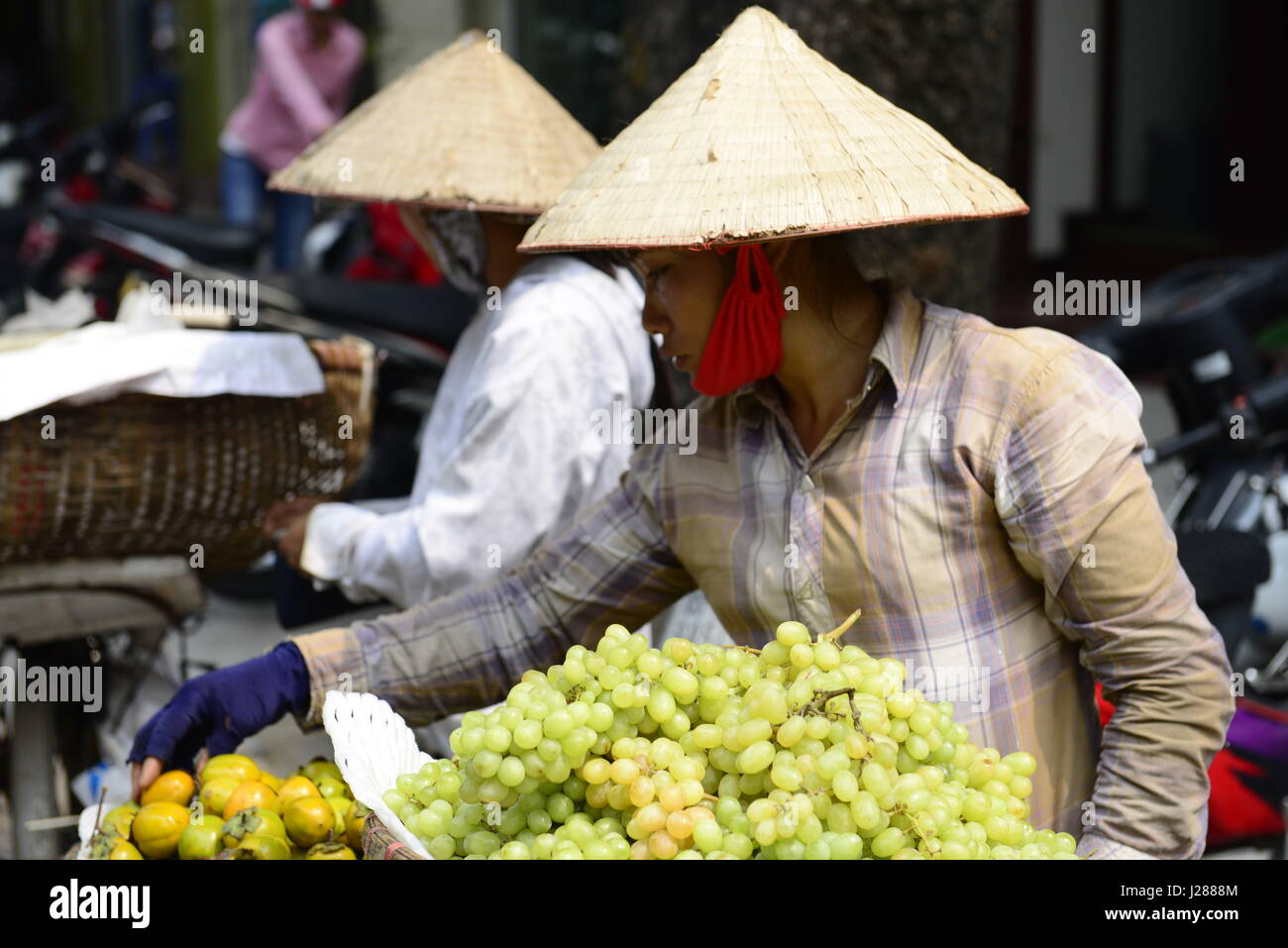 Fruit vendors come every morning with their bicycles to the colorful markets in the old city of Hanoi, Vietnam. Stock Photo