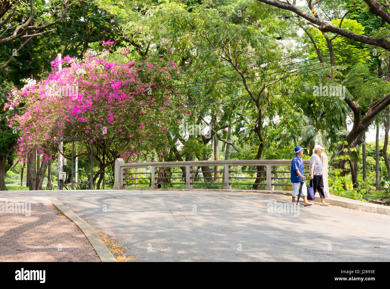 Two Thai ladies walking through Lumphini Park, Bangkok, Thailand Stock Photo