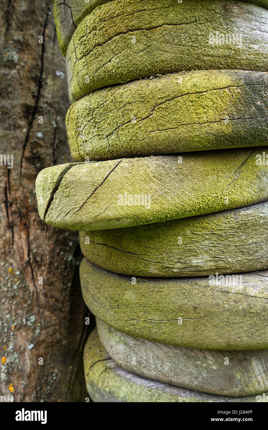 Discoloration of wood hi-res stock photography and images - Alamy