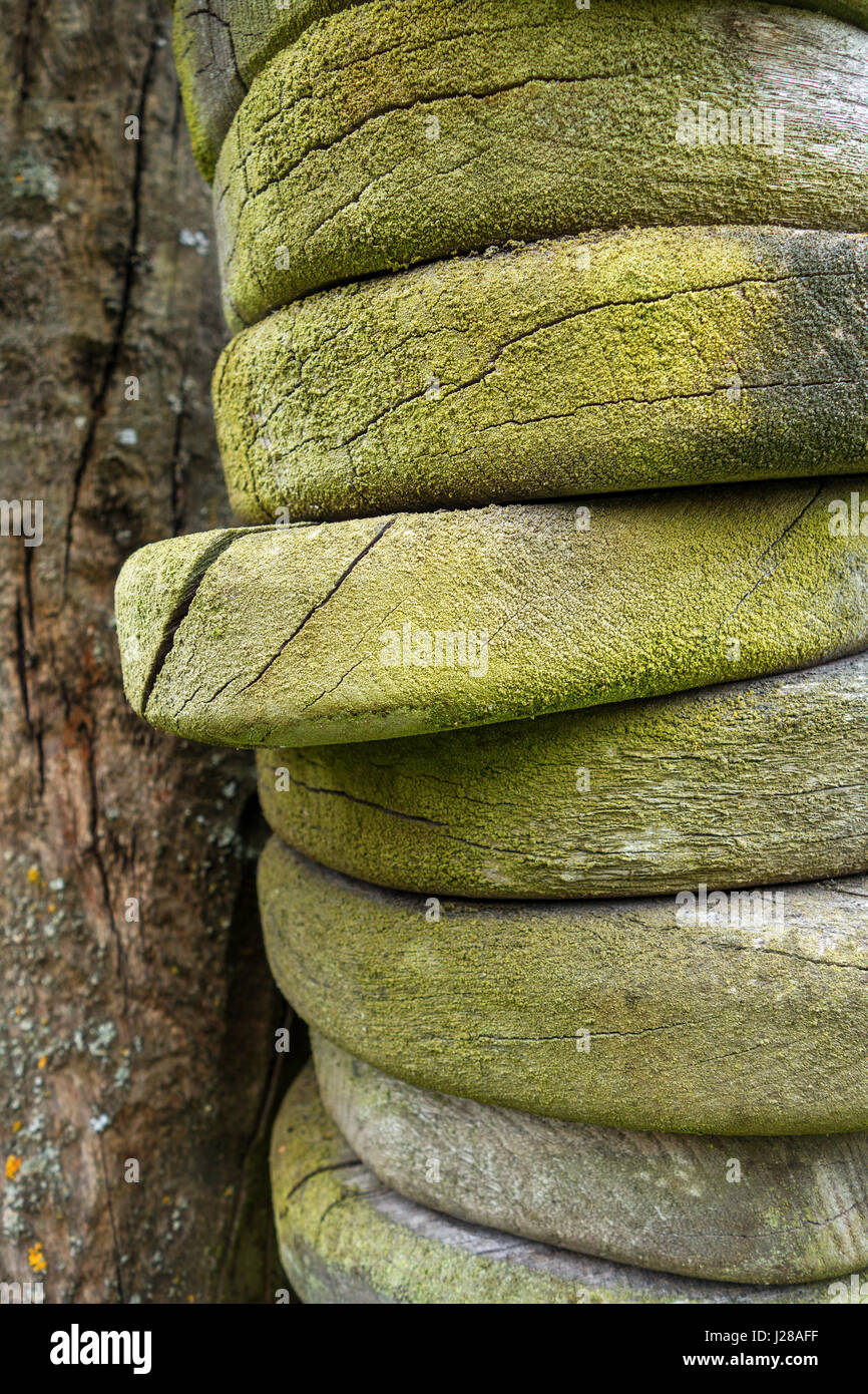 F12 -Fotos und -Bildmaterial in hoher Auflösung – Alamy