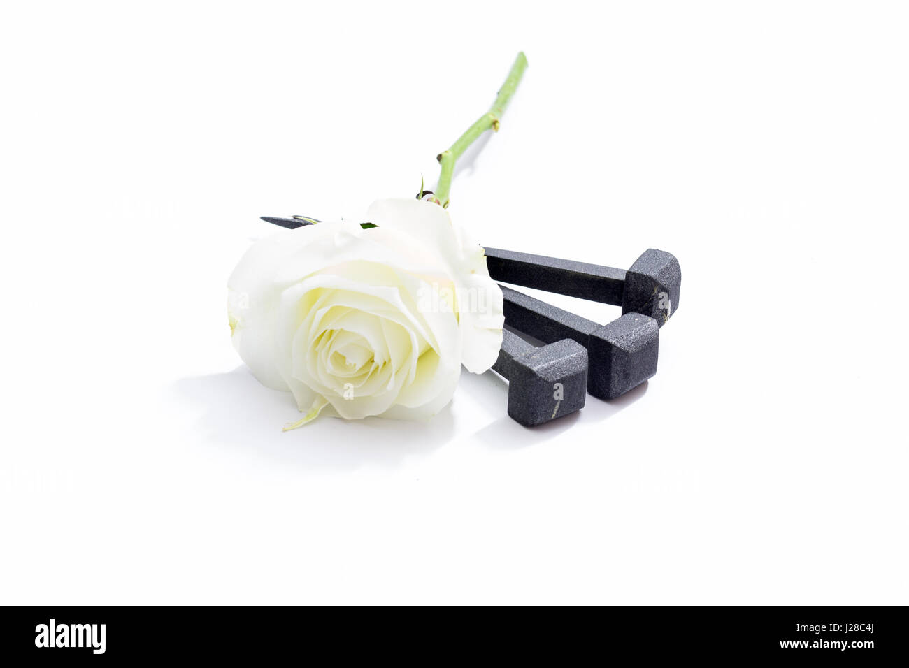 Jesus Christ nails from the Crucifixion and white rose on a white background. Stock Photo