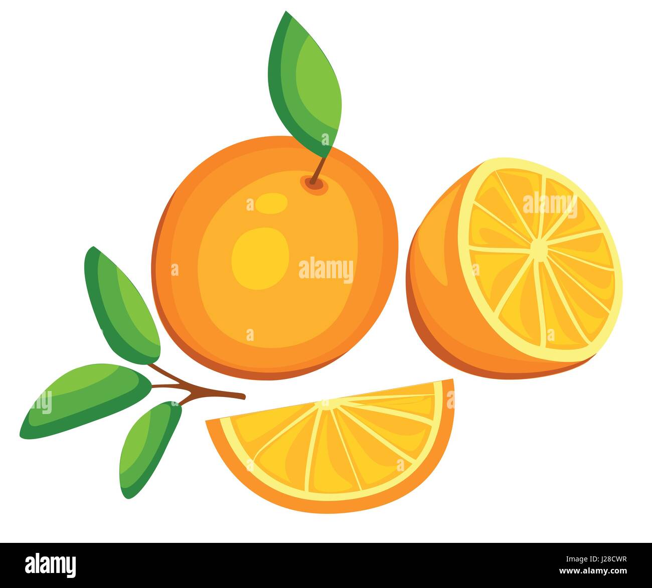 Bright orange tangerine colour Stock Vector Images - Alamy