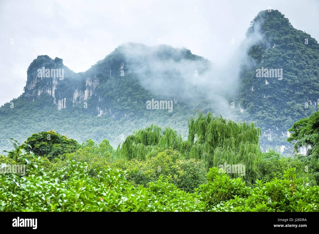 Mountains scenery in the mist Stock Photo