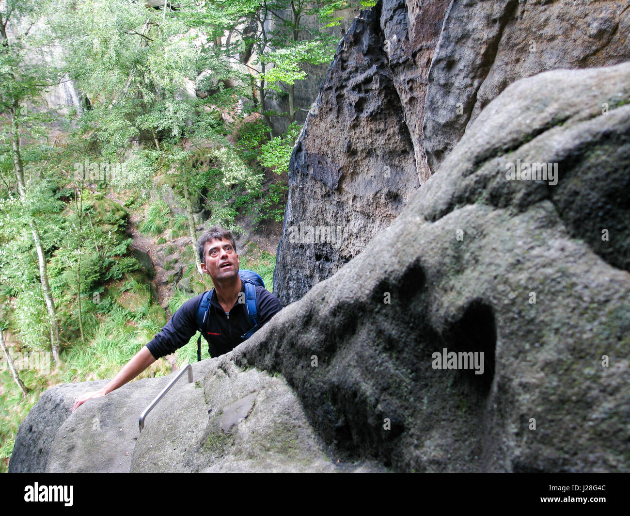 Saxon switzerland trees hi-res stock photography and images - Alamy