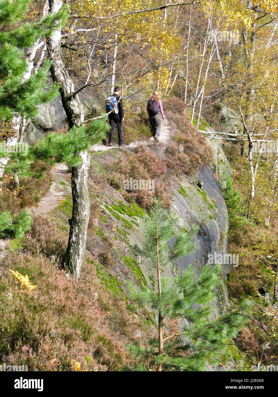 Back view of two walker in autumn hires stock photography and images