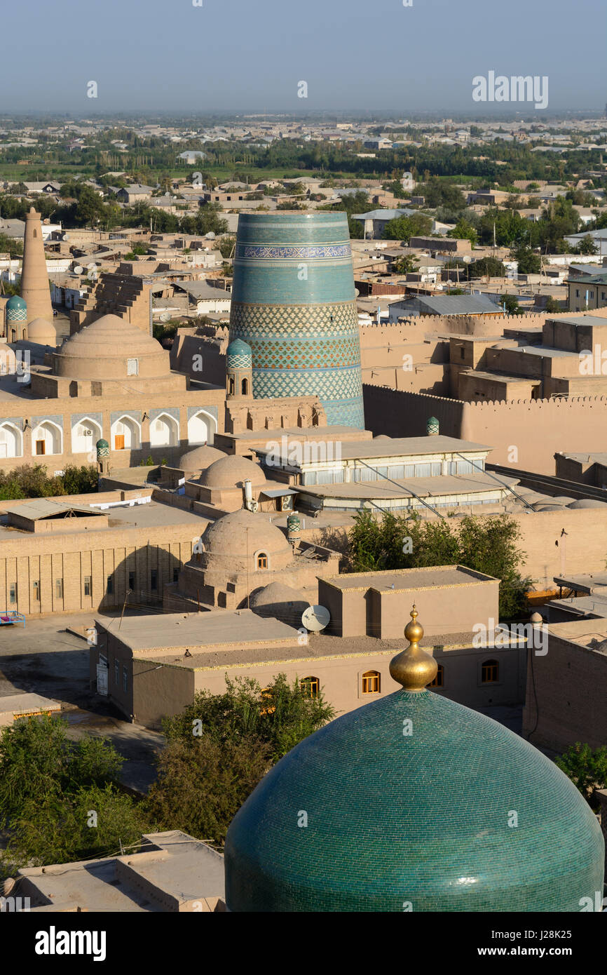 Jinsiy olatni ari chaqishi