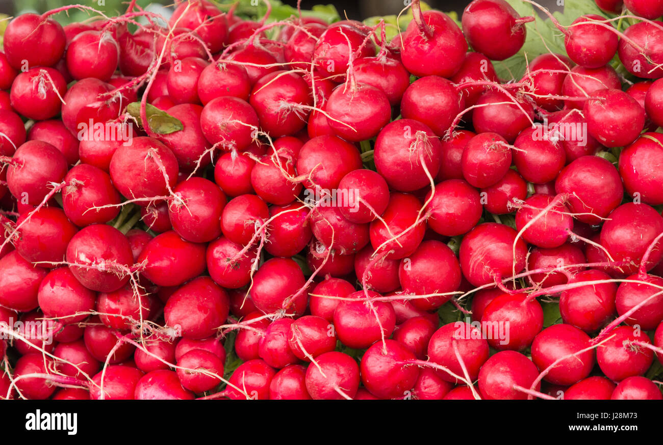 Red radishes. Organic vegetables Stock Photo Alamy