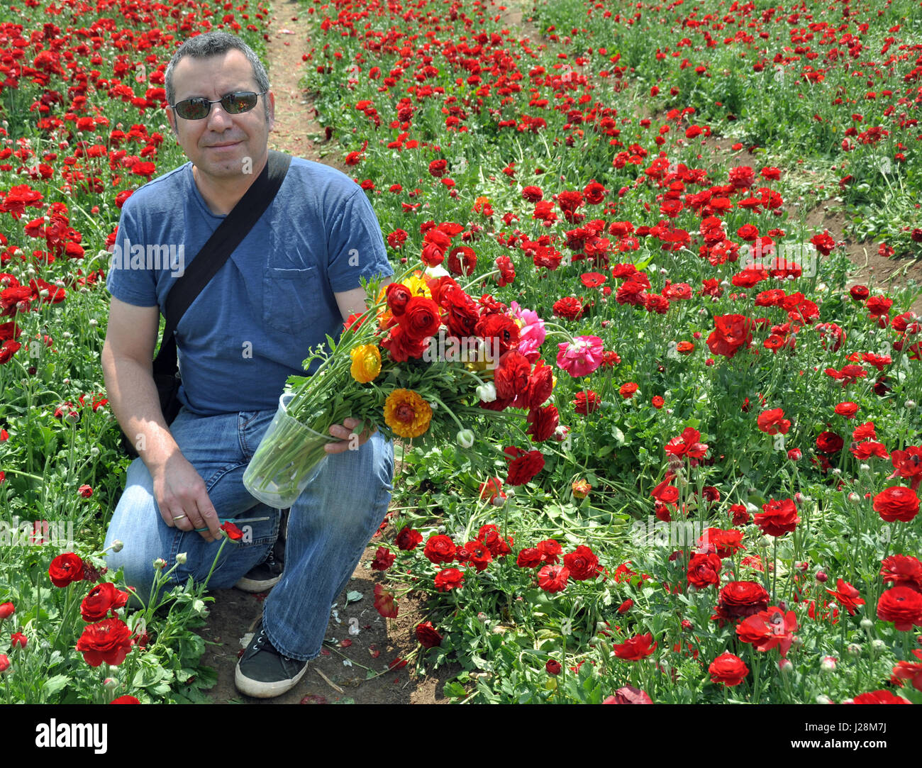 A man holding a bunch of flowers, Israel. Stock Photo