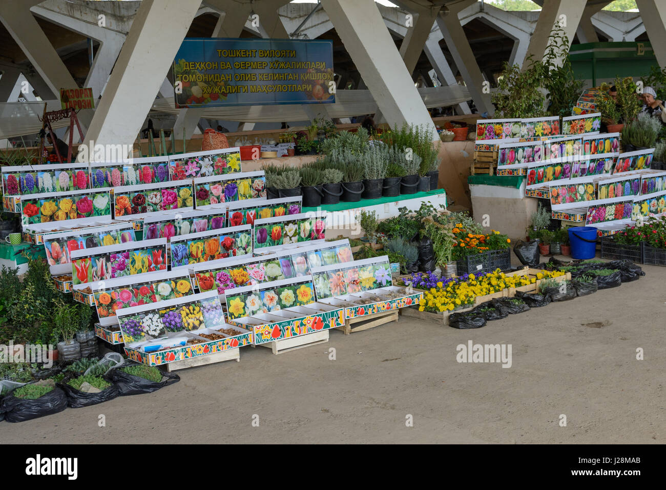 Uzbekistan, Tashkent, Market Hall Stock Photo - Alamy