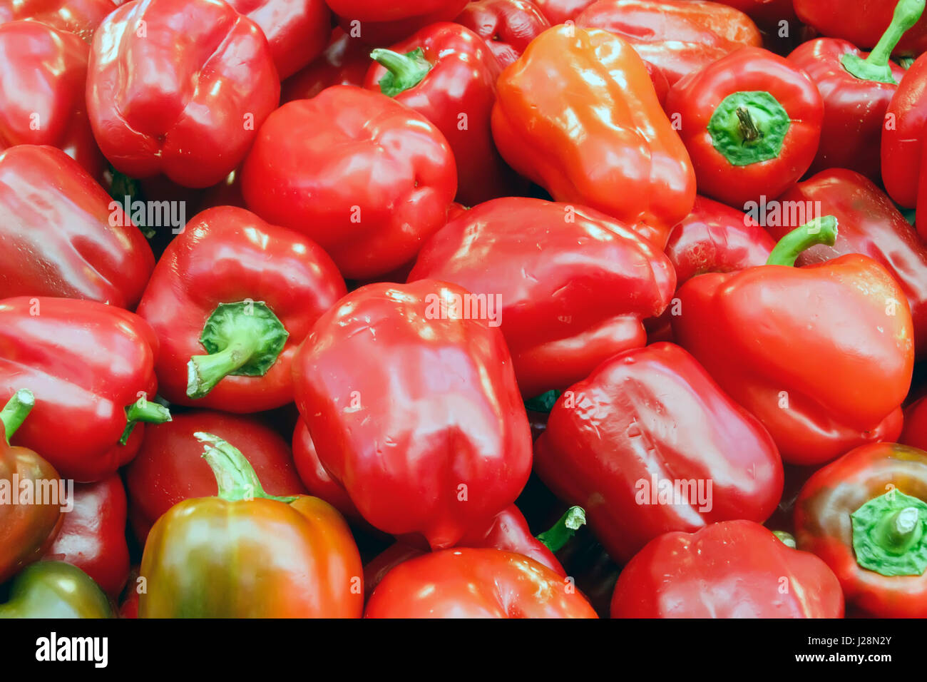 Pepper plants for sale hires stock photography and images Alamy