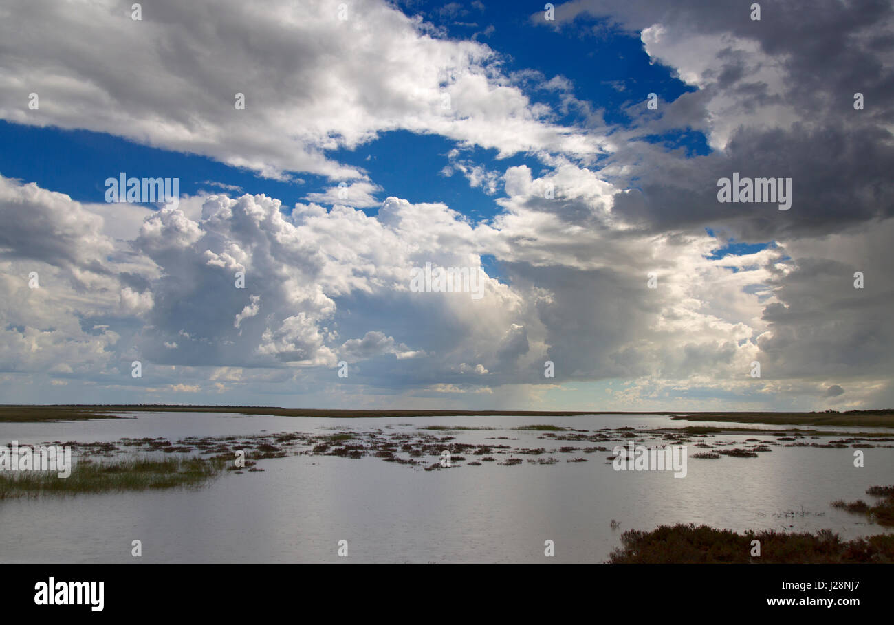 Saltpans at Etosha national park and brfooding sky Namibia Stock Photo