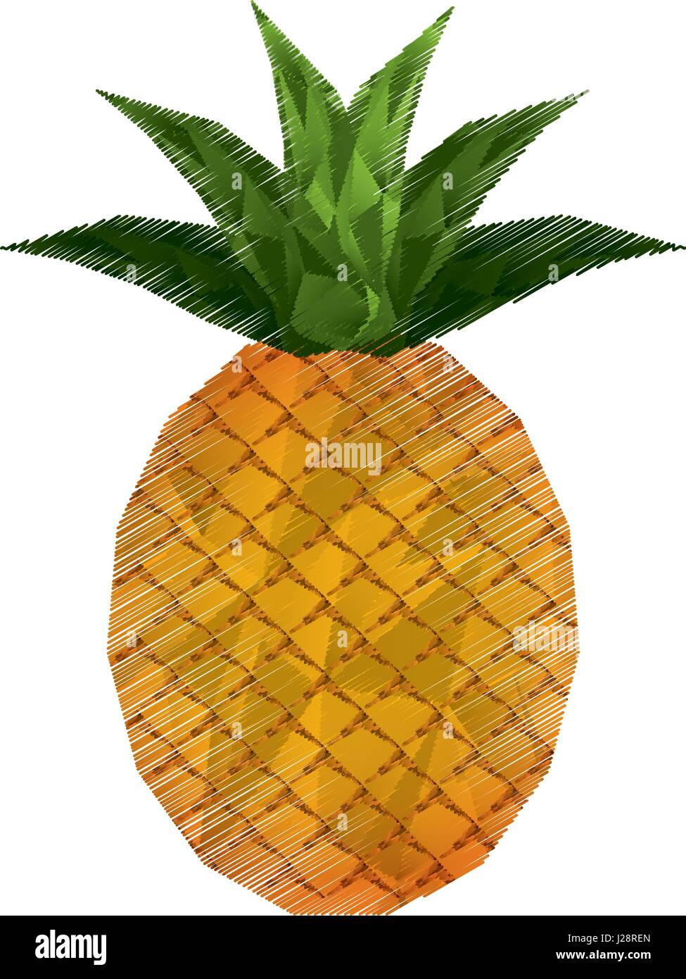 pineapple fresh fruit icon Stock Vector Image & Art - Alamy