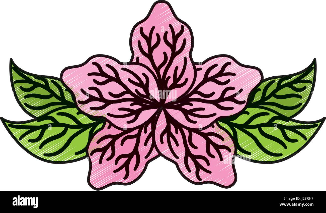 lotus flower isolated icon Stock Vector Image & Art - Alamy