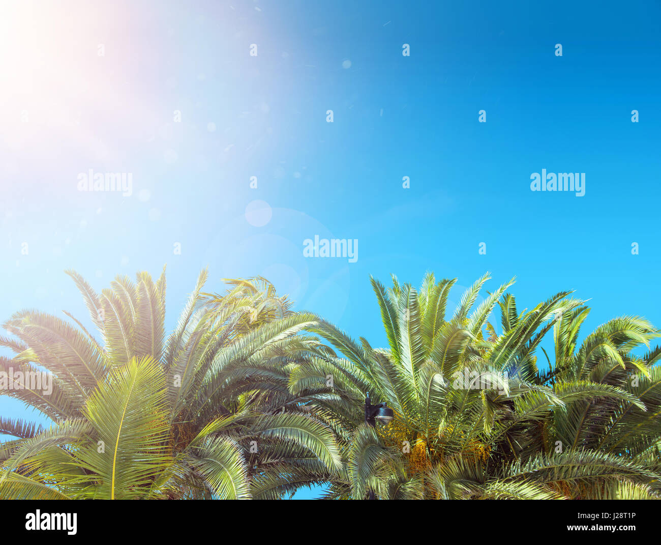 Tropical rainforest seasons hi-res stock photography and images - Alamy