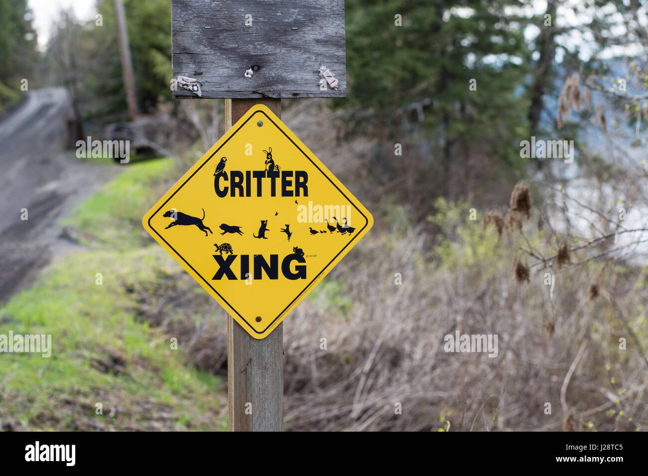 Yellow critter crossing sign post on rural lakeside road. Stock Photo