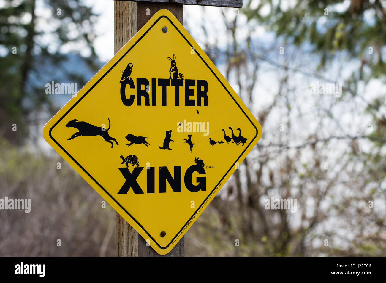 Yellow critter crossing sign post on rural lakeside road. Stock Photo