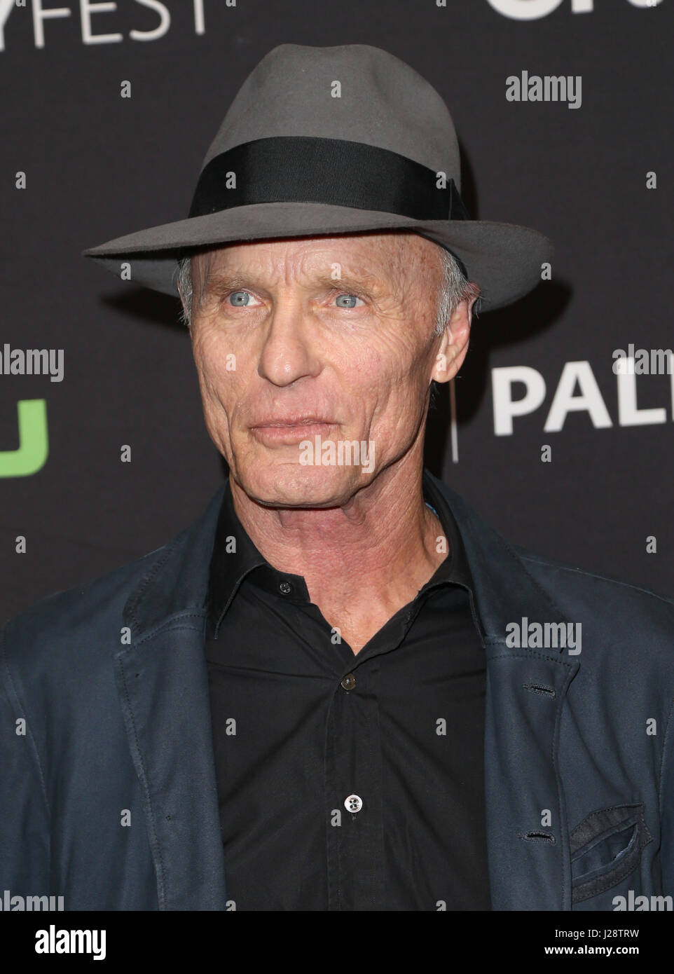 Media's 34th Annual PaleyFest Los Angeles: 'Westworld' at The Paley Center - Arrivals Featuring: Ed Harris Where: Hollywood, California, United States When: 25 Mar 2017 Stock Photo