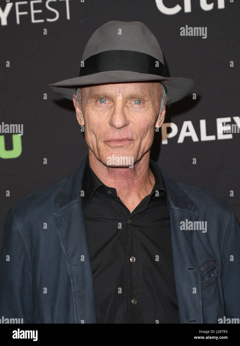 Media's 34th Annual PaleyFest Los Angeles: 'Westworld' at The Paley Center - Arrivals Featuring: Ed Harris Where: Hollywood, California, United States When: 25 Mar 2017 Stock Photo