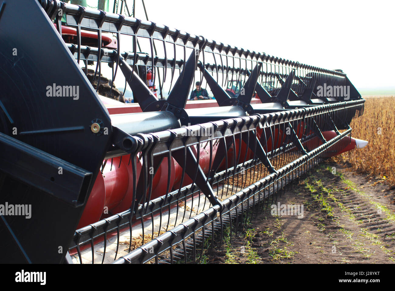 Combine harvester working on the harvest Stock Photo