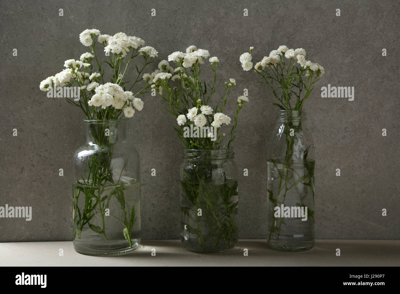 Small white flowers in vases, concrete and glass Stock Photo Alamy