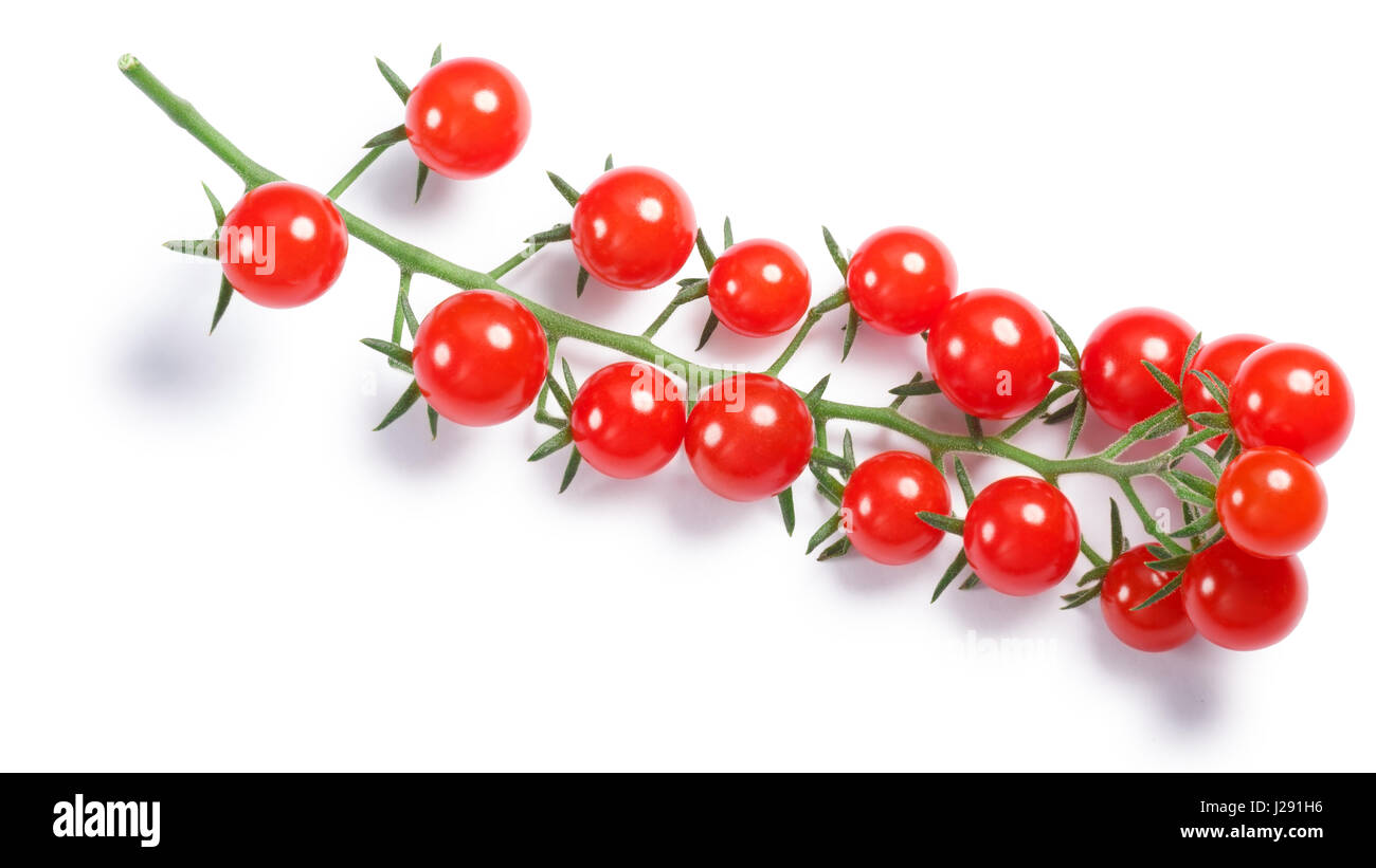 Currant sweet pea tomatoes (Solanum pimpinellifolium) cluster. Clipping paths, shadow separated, top view Stock Photo