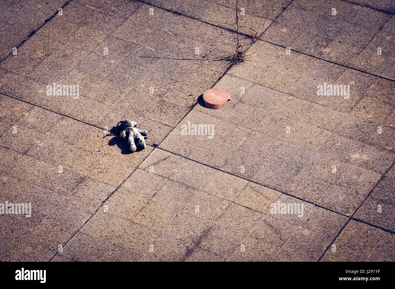 A teddy bear lays lost and lonely left by a kid Stock Photo - Alamy