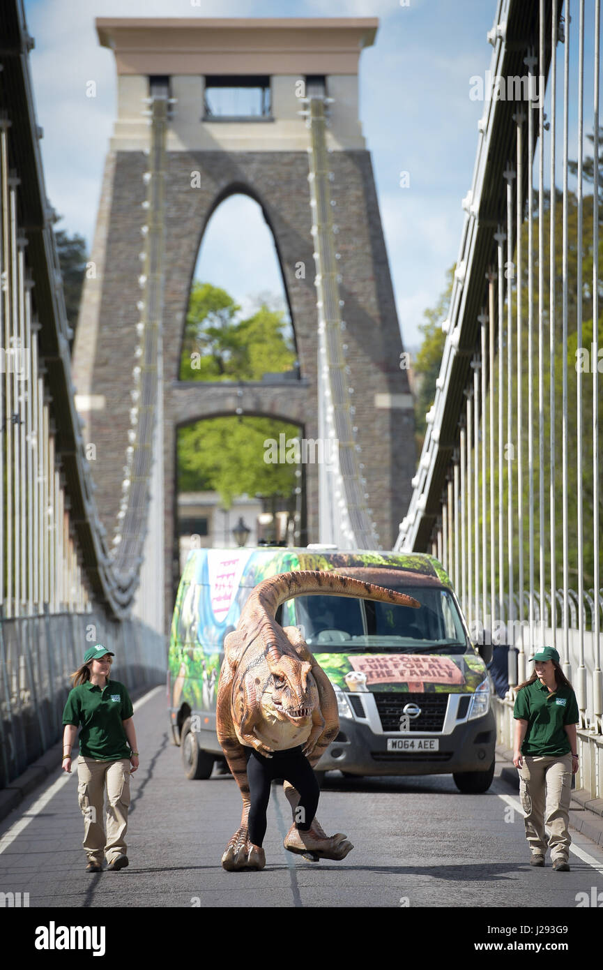A life-like T-Rex animatronic dinosaur called Denze' walks across Clifton Suspension Bridge in Bristol, to launch a forthcoming exhibition at Bristol Zoo Gardens. Stock Photo