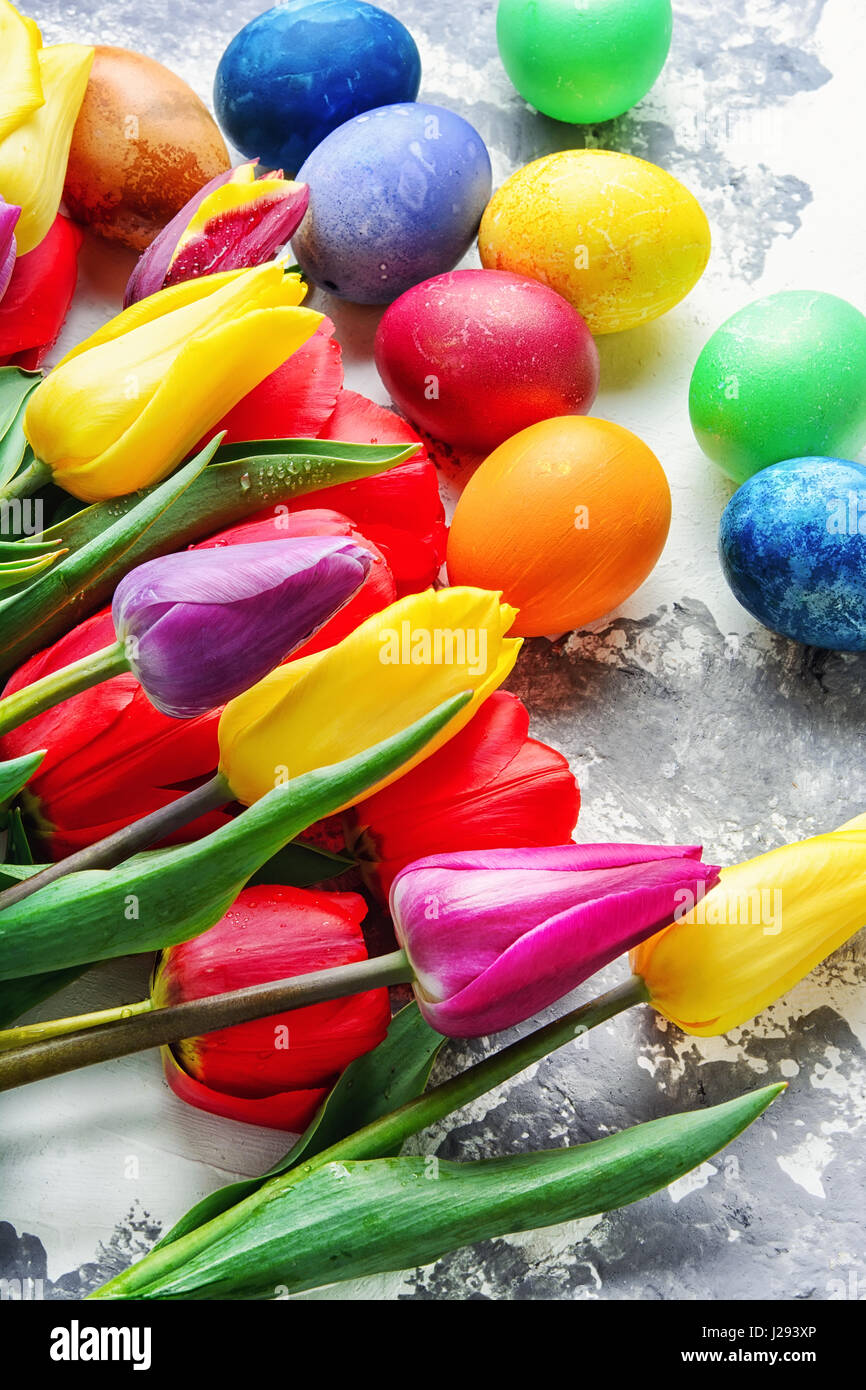Easter colored eggs and bunch of spring tulips Stock Photo - Alamy