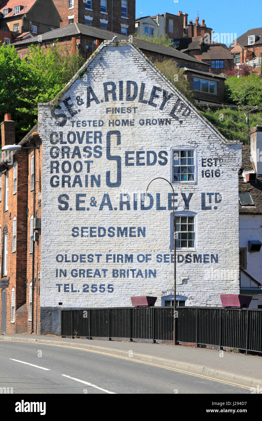 Old advertisement for S E & A Ridley seedsmen painted on the gable end of a building on Bridge Street, Bridgnorth, Shropshire, England, UK. Stock Photo