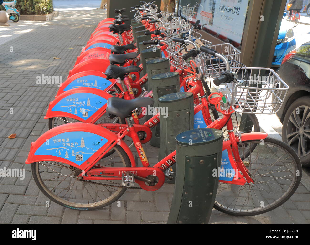 largest bicycle