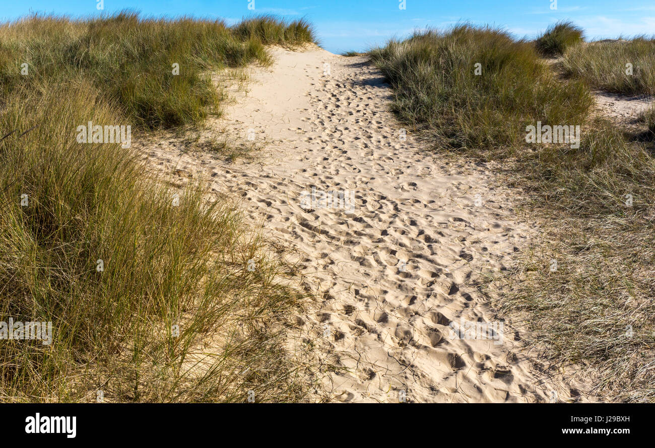 Footprints in the sand. Walberswick, Suffolk. Stock Photo