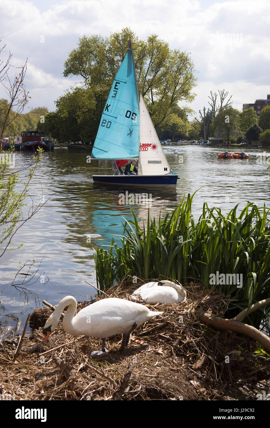 Lower ham road hires stock photography and images Alamy