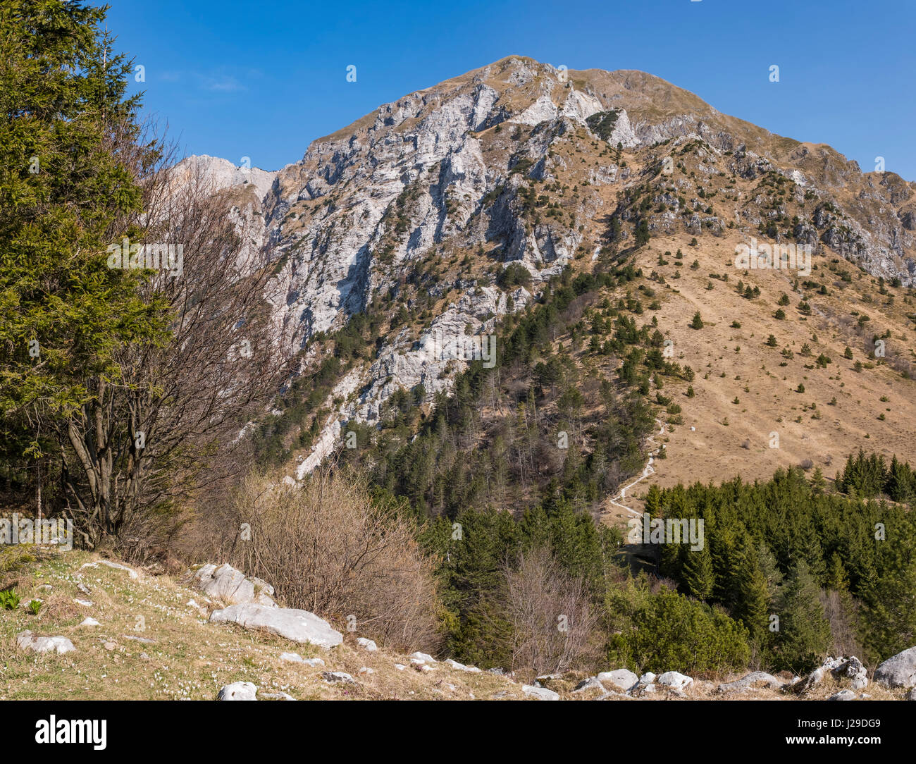 Mountain Monte Chiampon and Monte Deneal in Gemona, Udine in Italy in  spring Stock Photo - Alamy