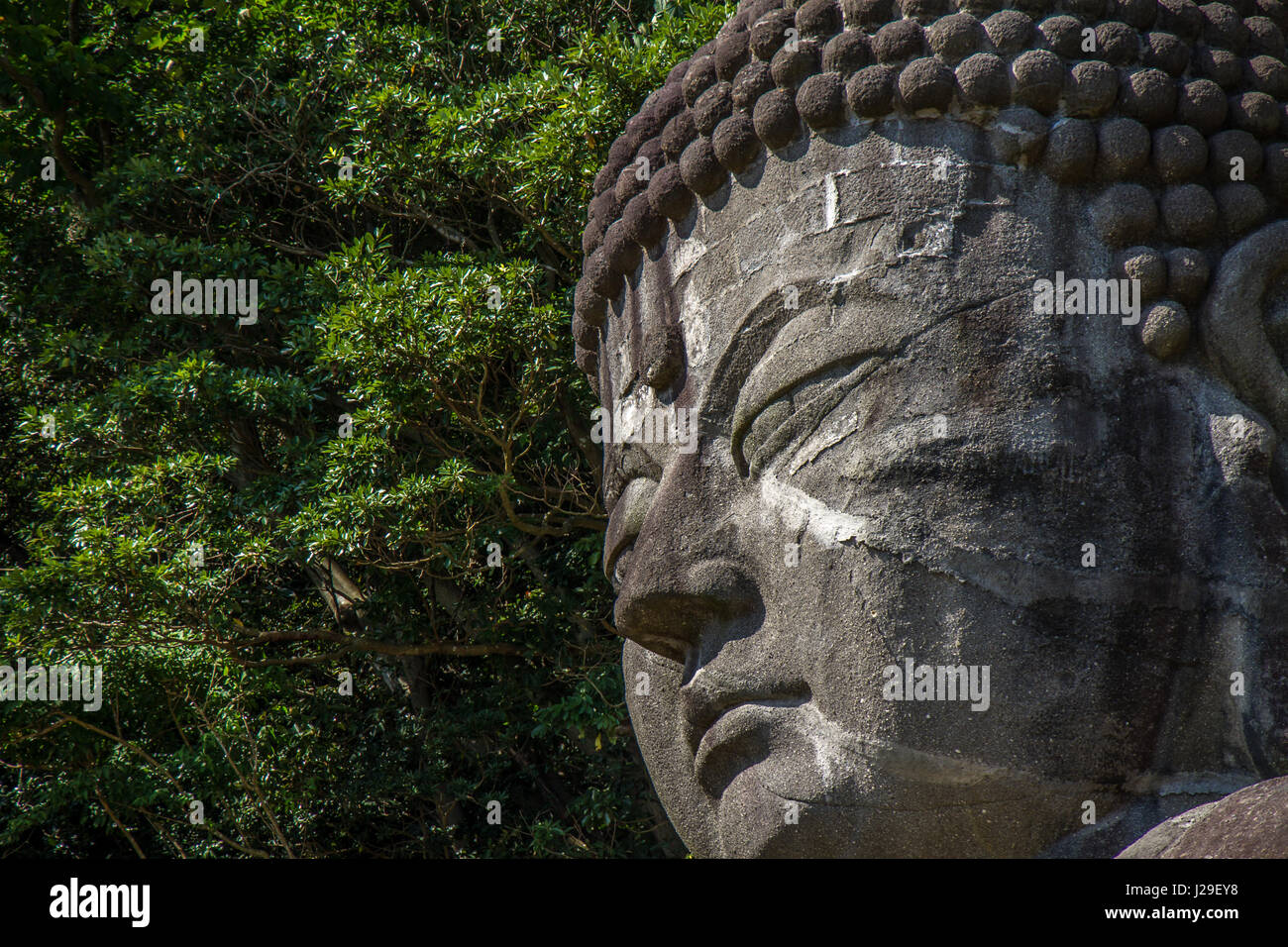 Big Buddha (daibutsu) sculpture located in Nihonji Buddhist temple