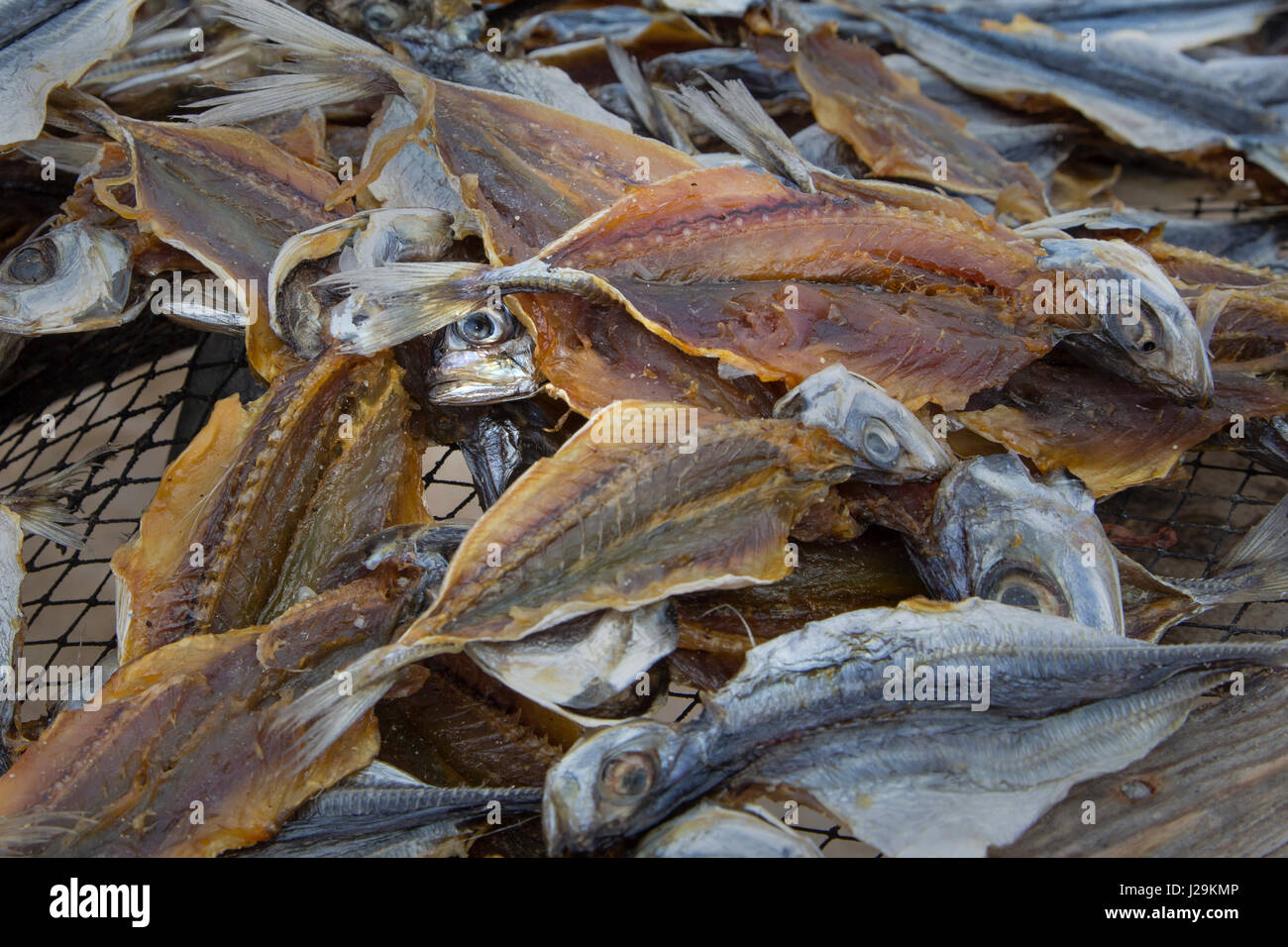 Fish drying in the sun on the beach of Nazare, Oeste, Distrikt Leiria, Portugal, Europe Stock Photo